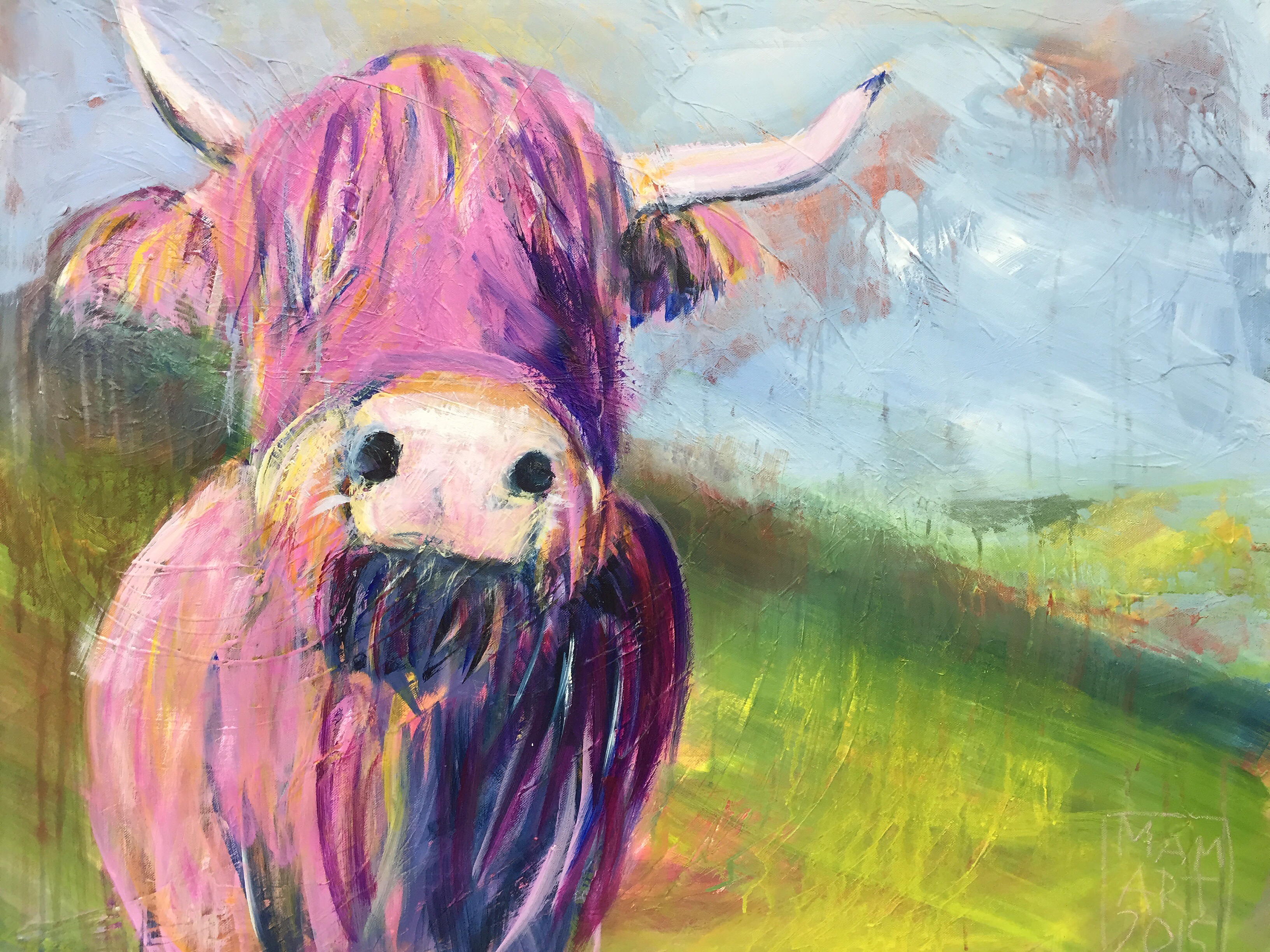 Pink fluffy cow